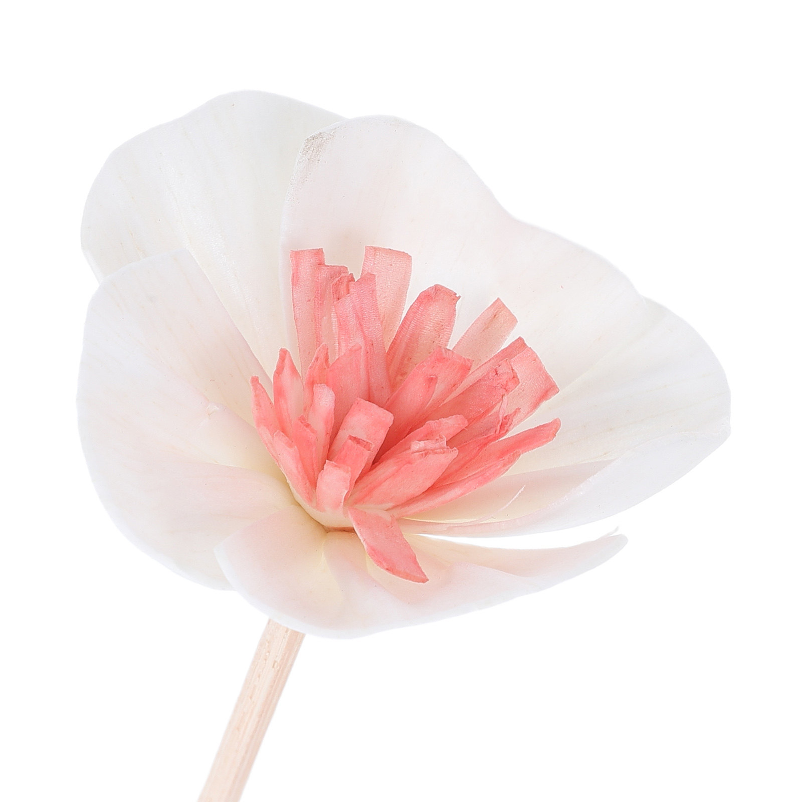 10 шт. черных ароматических па – обзор и цена Home Fragrance Diffuser